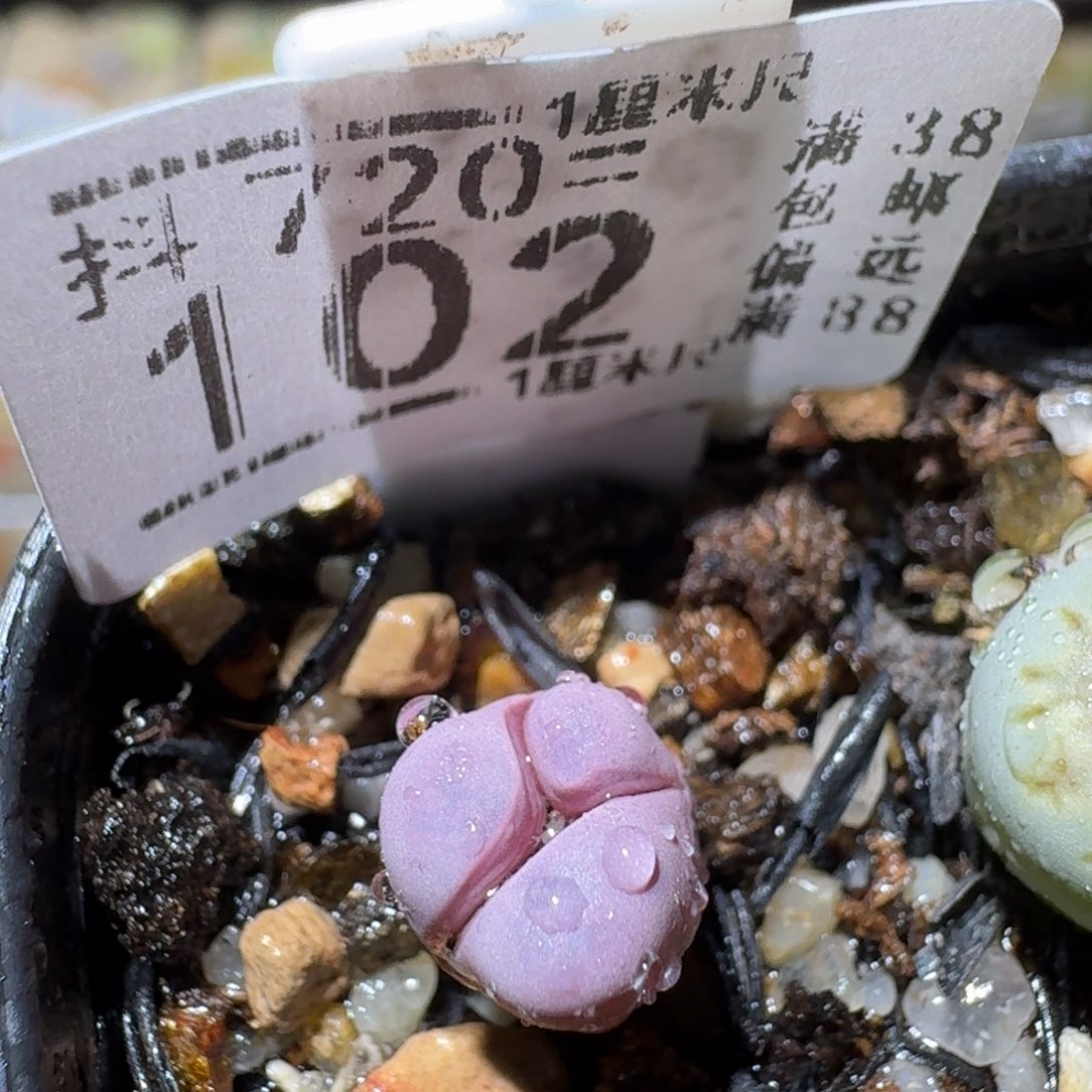 Sss清清清货了便宜102