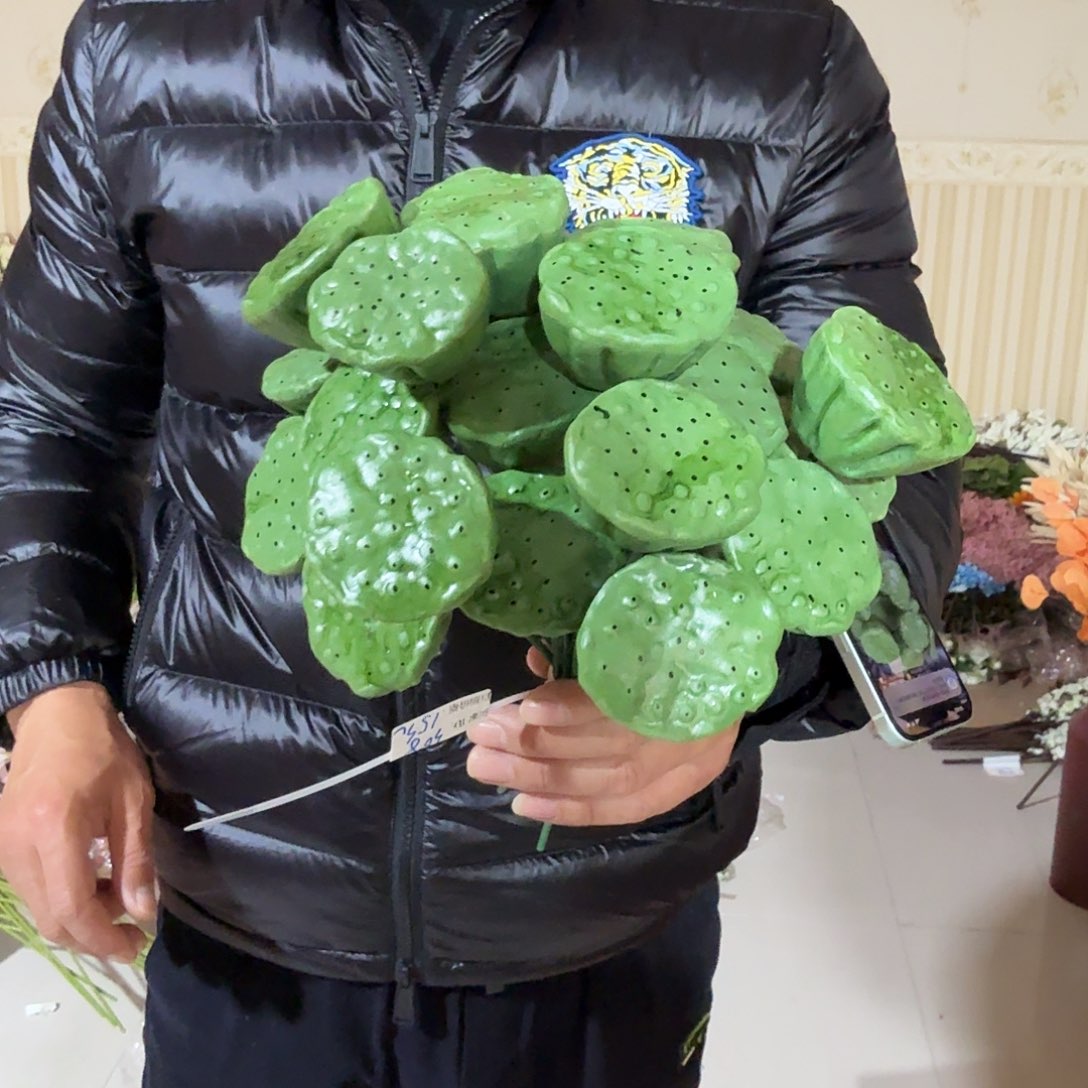 仿真莲蓬30个装仿真