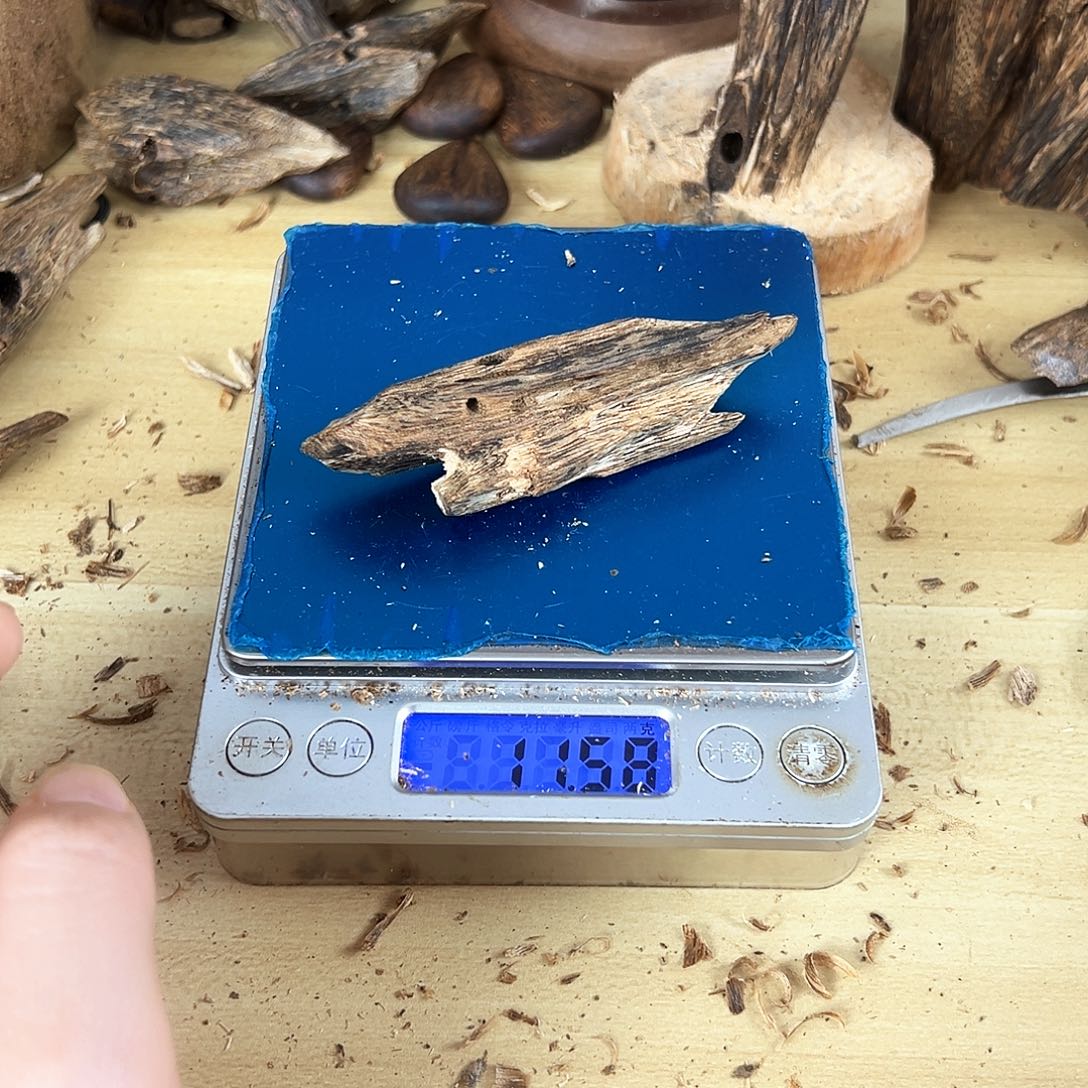 香料绿奇楠虫漏11克白棋天然虫