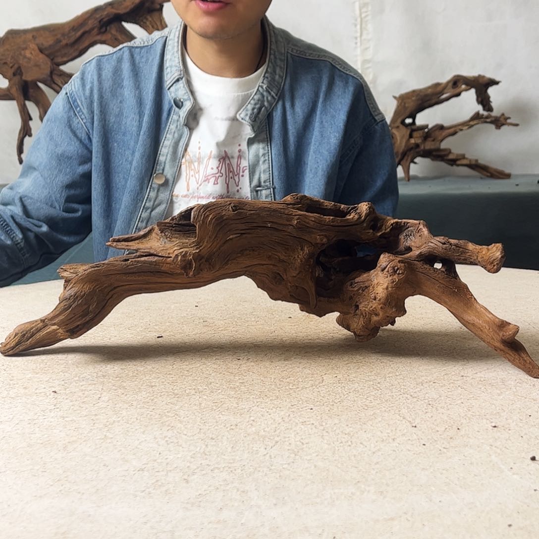 文*新年快乐沉木造景