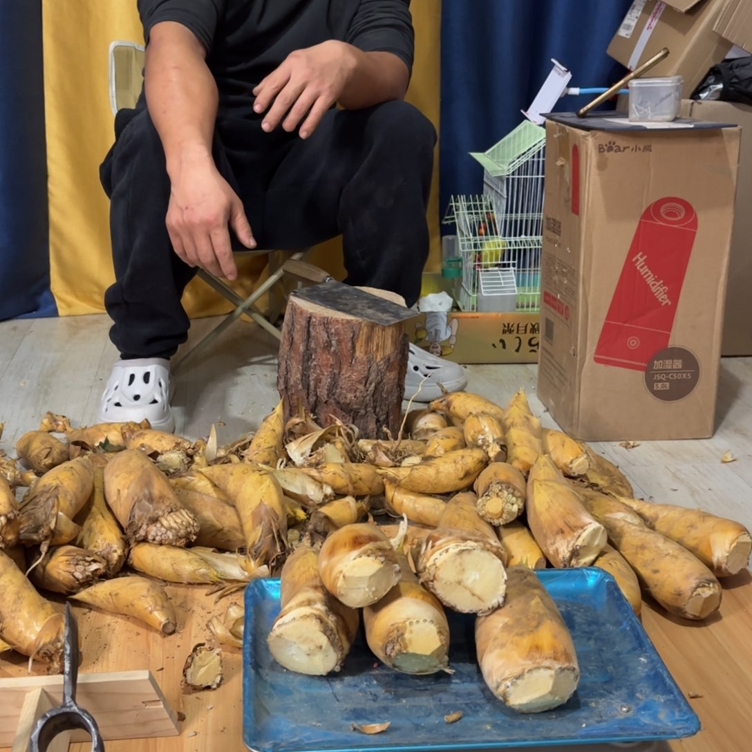 中国大陆阿木哥现挖冬笋3斤装