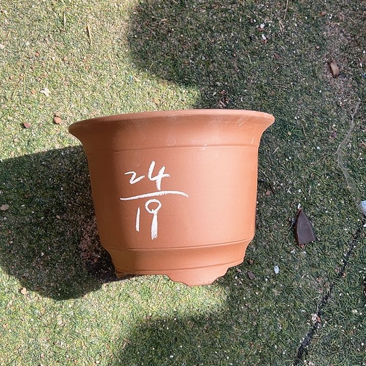 红陶紫砂工艺厂……紫砂工艺厂