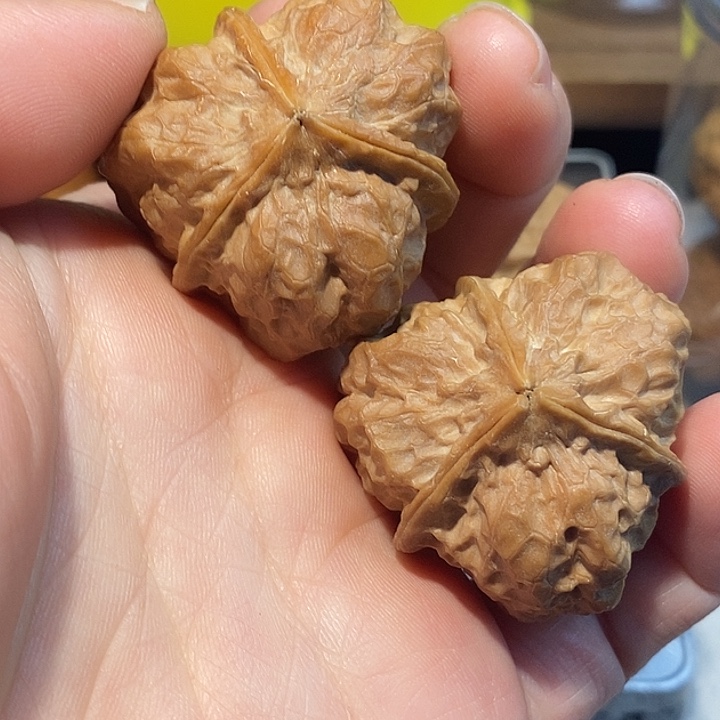 观***复文玩核桃把件7777788¥¥¥