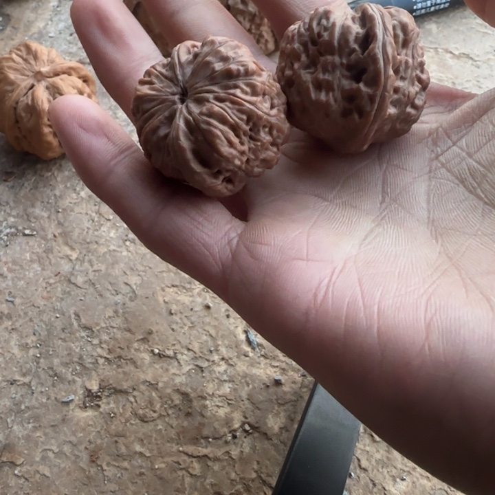 9***7把件文玩核桃平诶锅