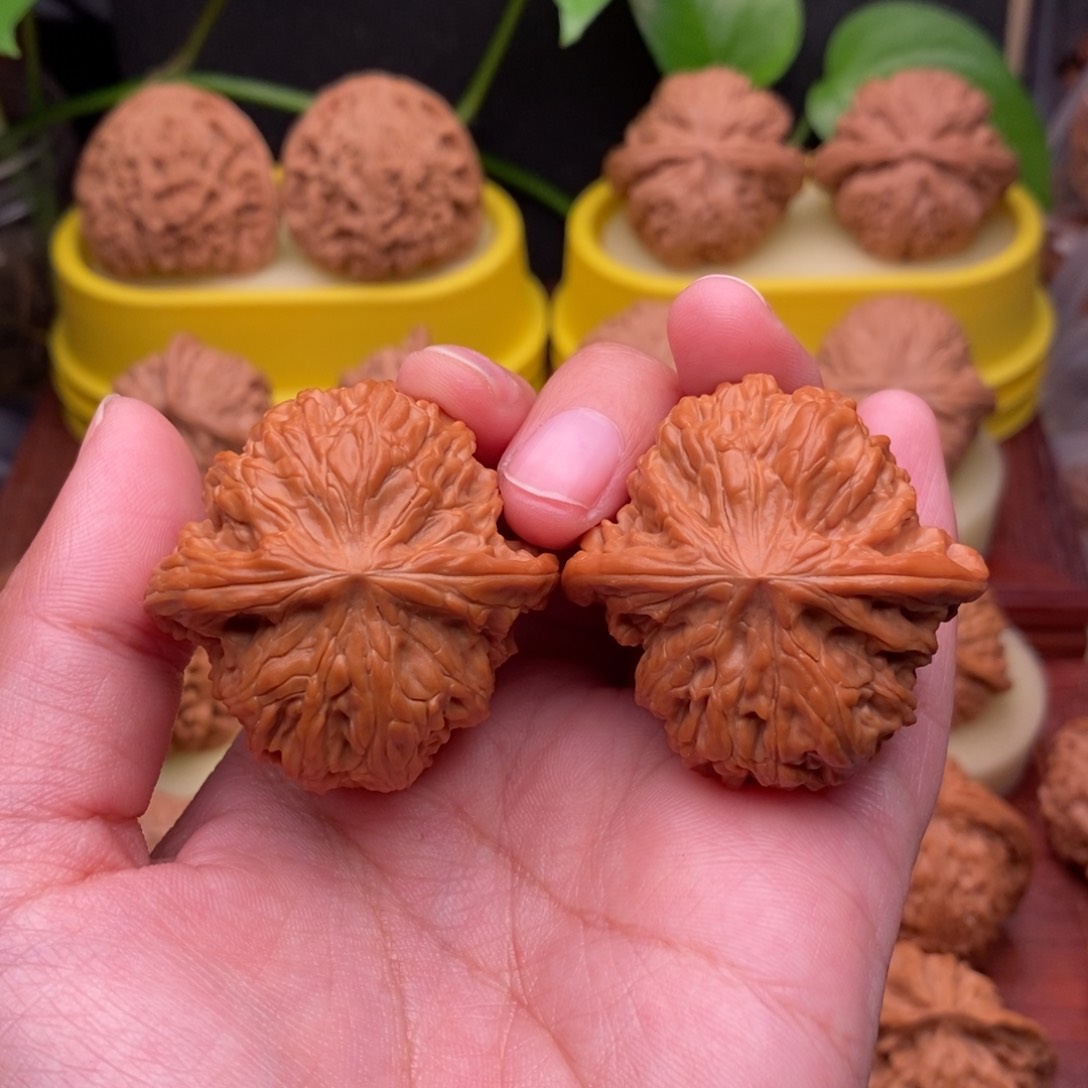 把件文玩核桃39“野生”红皮正磨