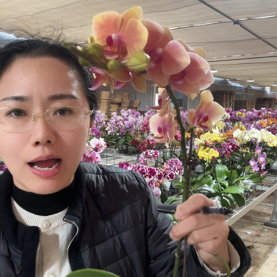 完全开放亲爱的1颗255