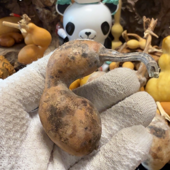 小***豹666666666777777777