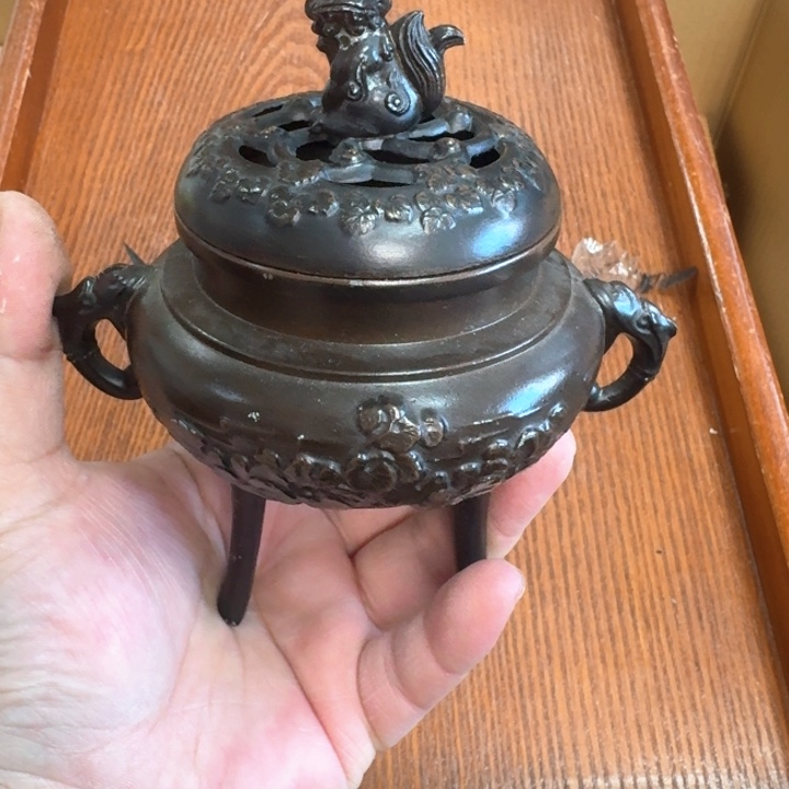 紫砂啦啦啦啦啦啦啦