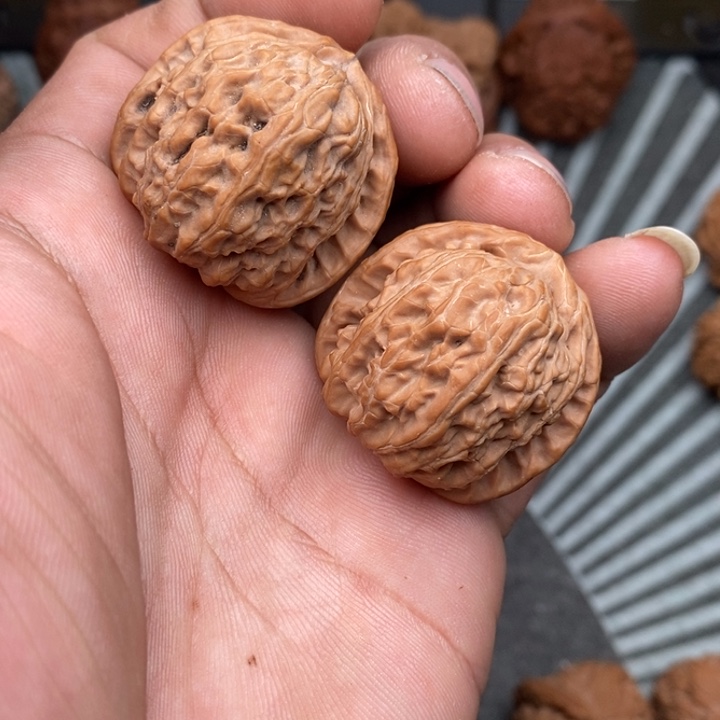 文玩核桃把件白狮子