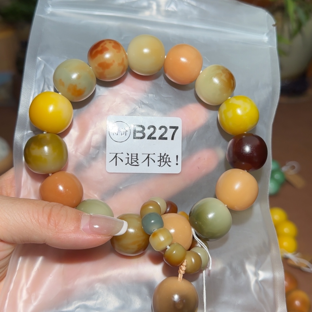 菩提根/象牙果手串B227大瑕疵不退不换
