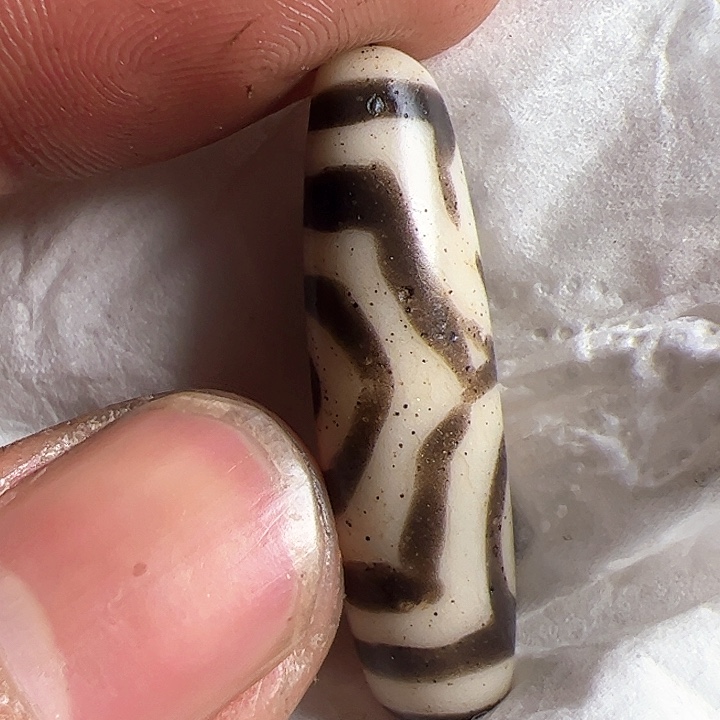 香榧木你的时候你是