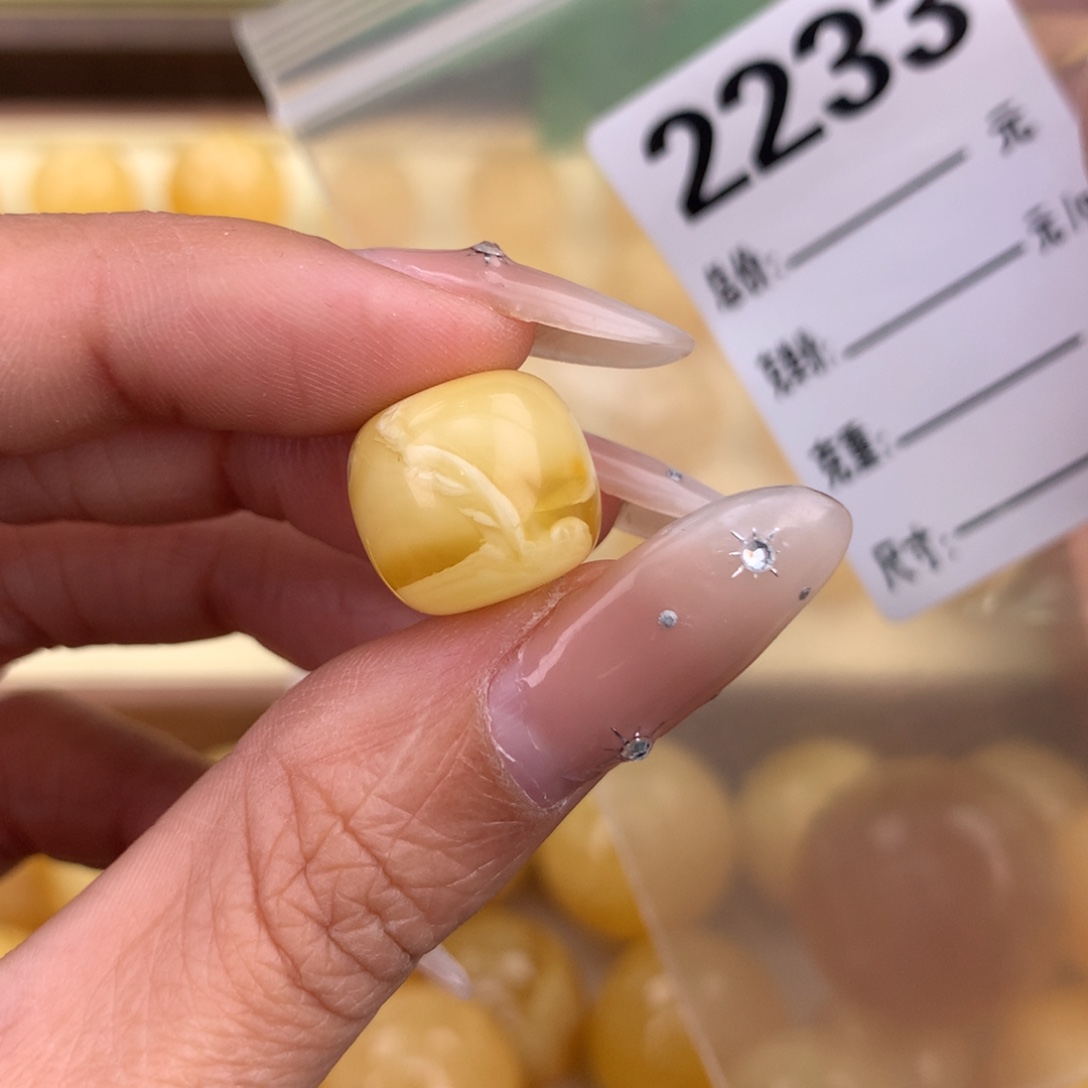 琥珀未镶嵌珠宝奇石13.9 植物