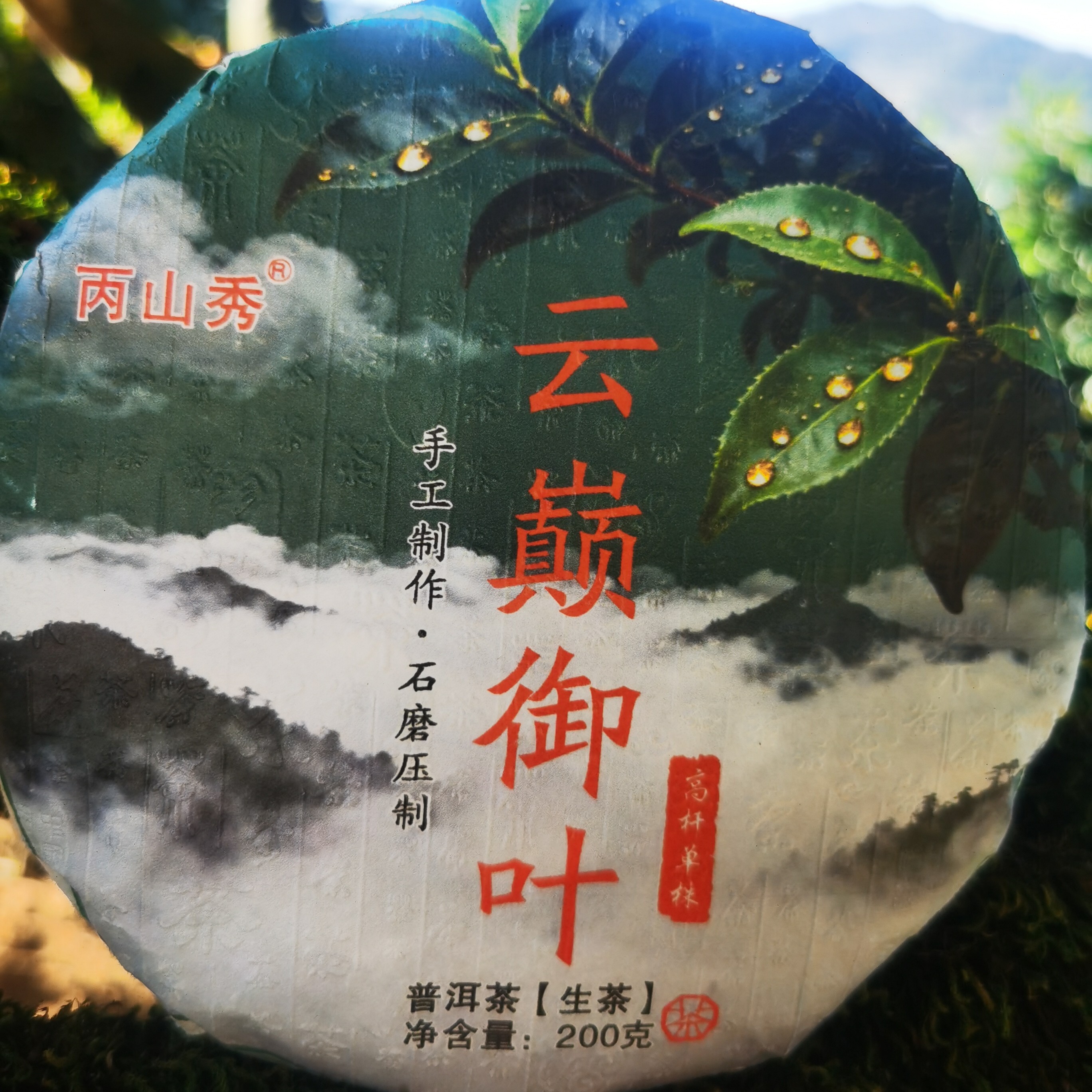 【支书严选1】雄辉2025云巅御叶古树单株 饼茶