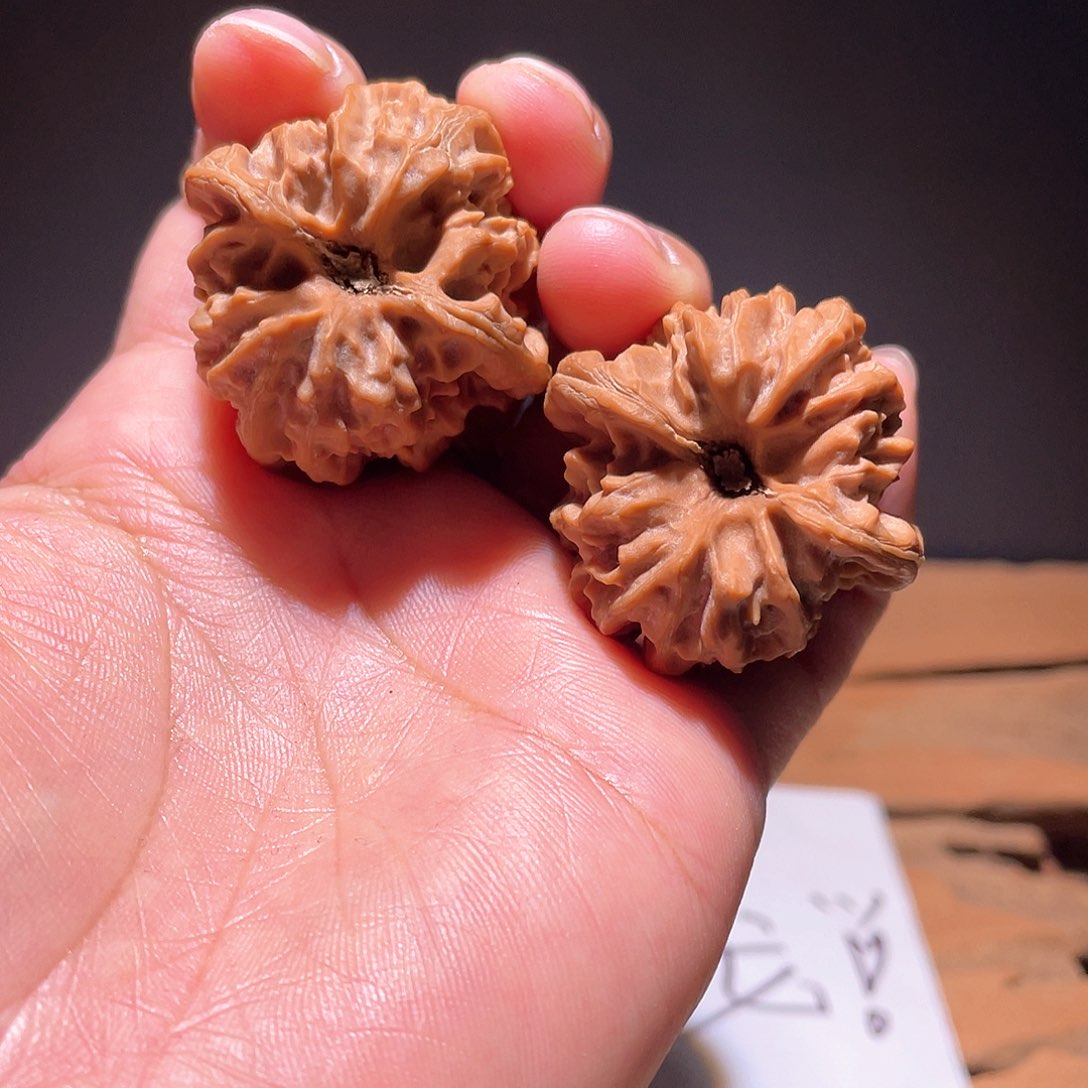 元**贞s034 36 尺 大龙