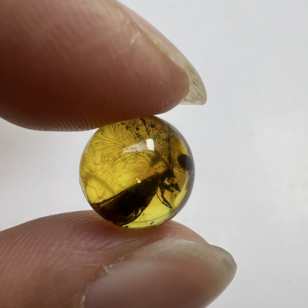 天然虫珀圆珠尺寸：10.7mm