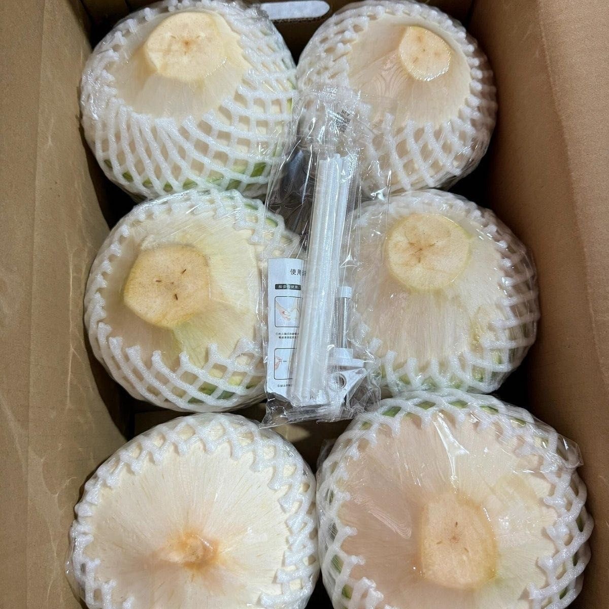海南新鲜椰青椰子精选大果6个装（送开椰器和吸管）生鲜孕妇水果