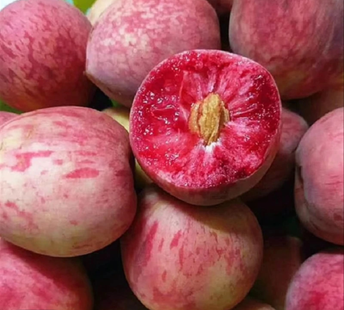 正宗老树红心血桃现摘现发脆甜多汁坏果包赔