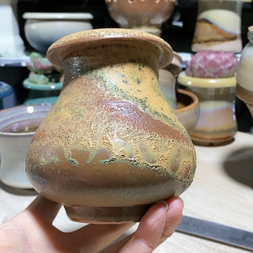 【闪购商品】红陶口6