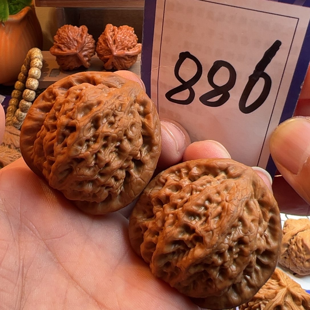 文玩核桃把件全品金公子43.5尺寸886号