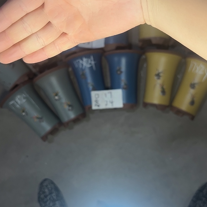 周深周深周深周深周深 