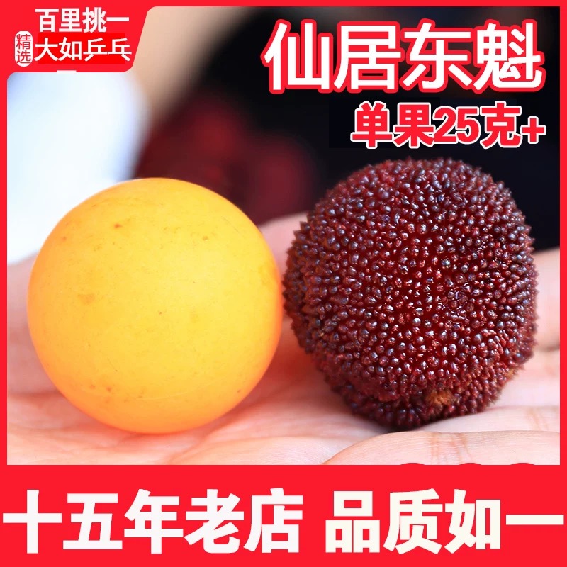 仙居正宗东魁杨梅顺丰空运冷链新鲜凌晨现摘升级颗粒精包装约3斤新鲜杨梅浙江省