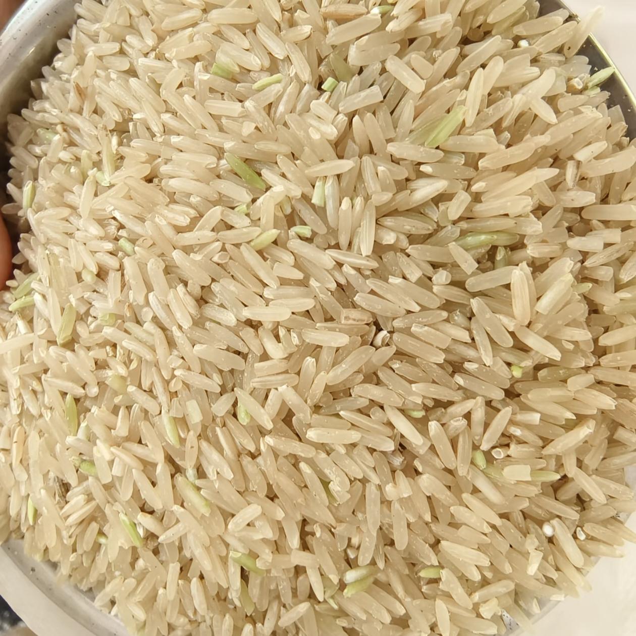 新米长粒糙米10斤粗粮杂粮全胚芽米存糙米东北黑土地饱腹新鲜