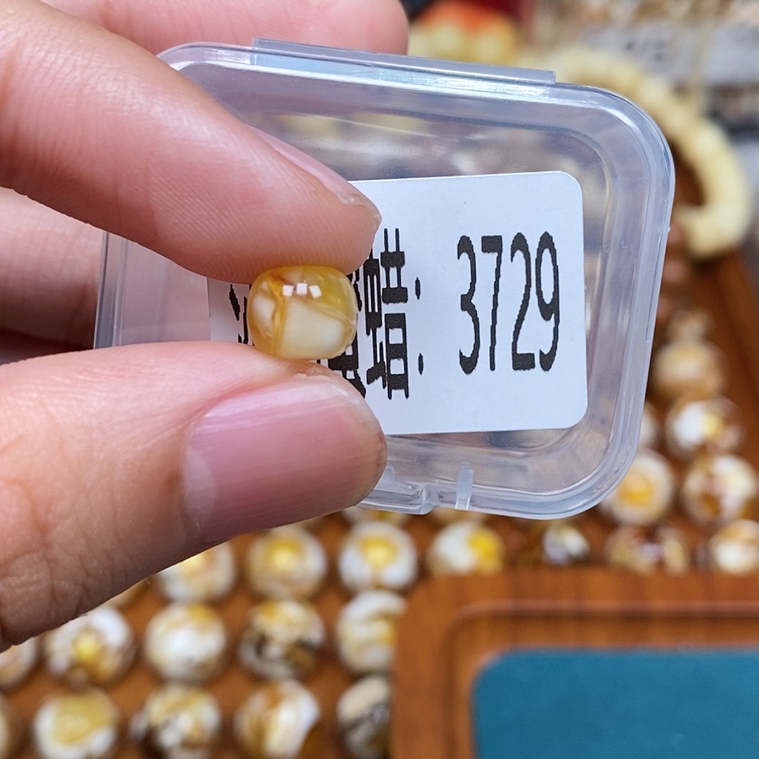 蜜蜡未镶嵌珠宝奇石3729