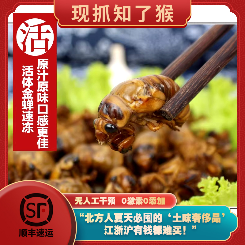2025山东特产新鲜知了猴金蝉爬叉顺丰发货
