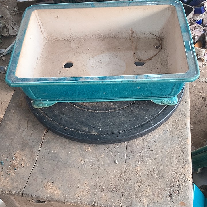 紫砂优秀人才支持我们家r