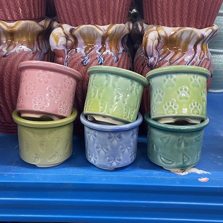 花盆单场满9.9发货8×6.5