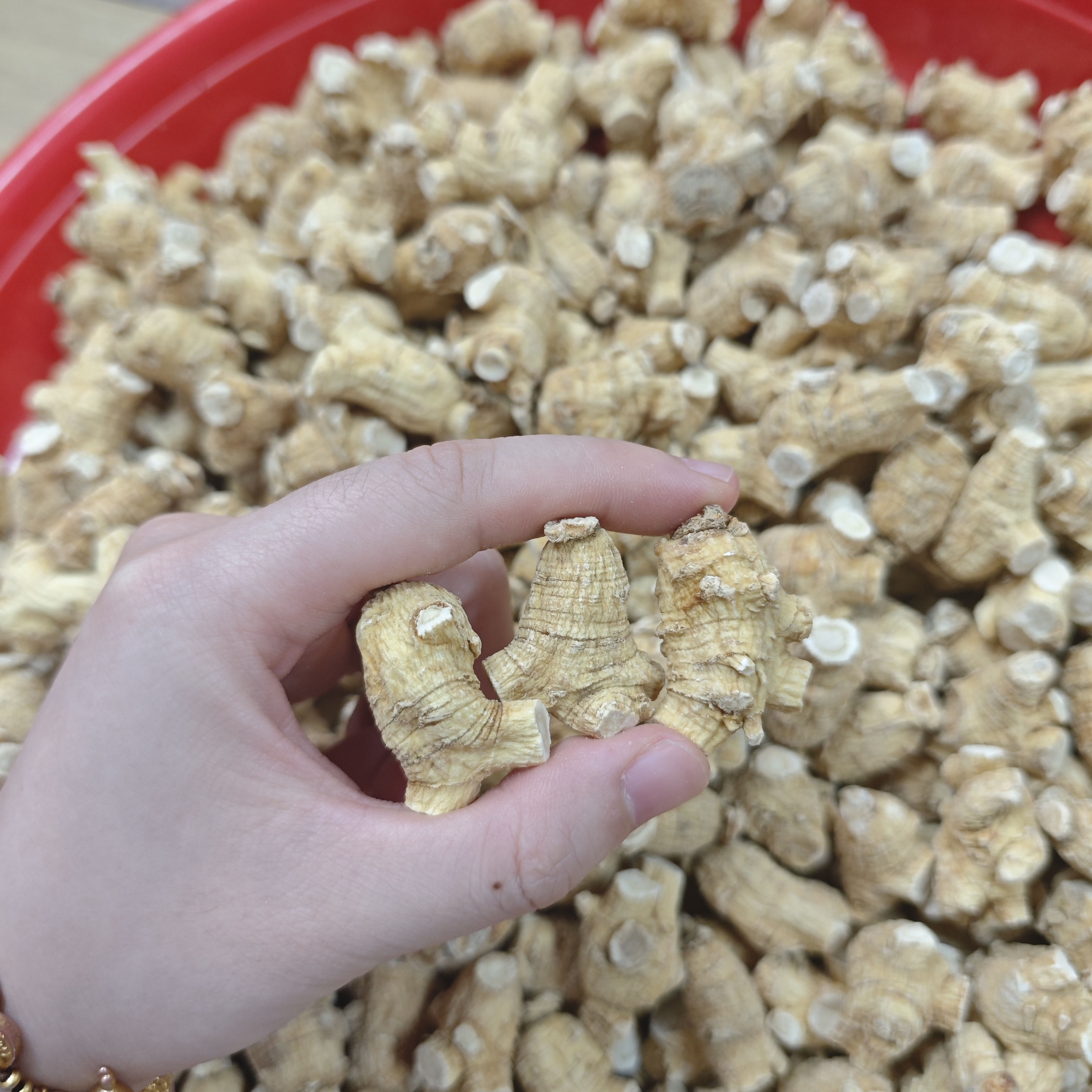 【三三】精品 西洋参粒250g