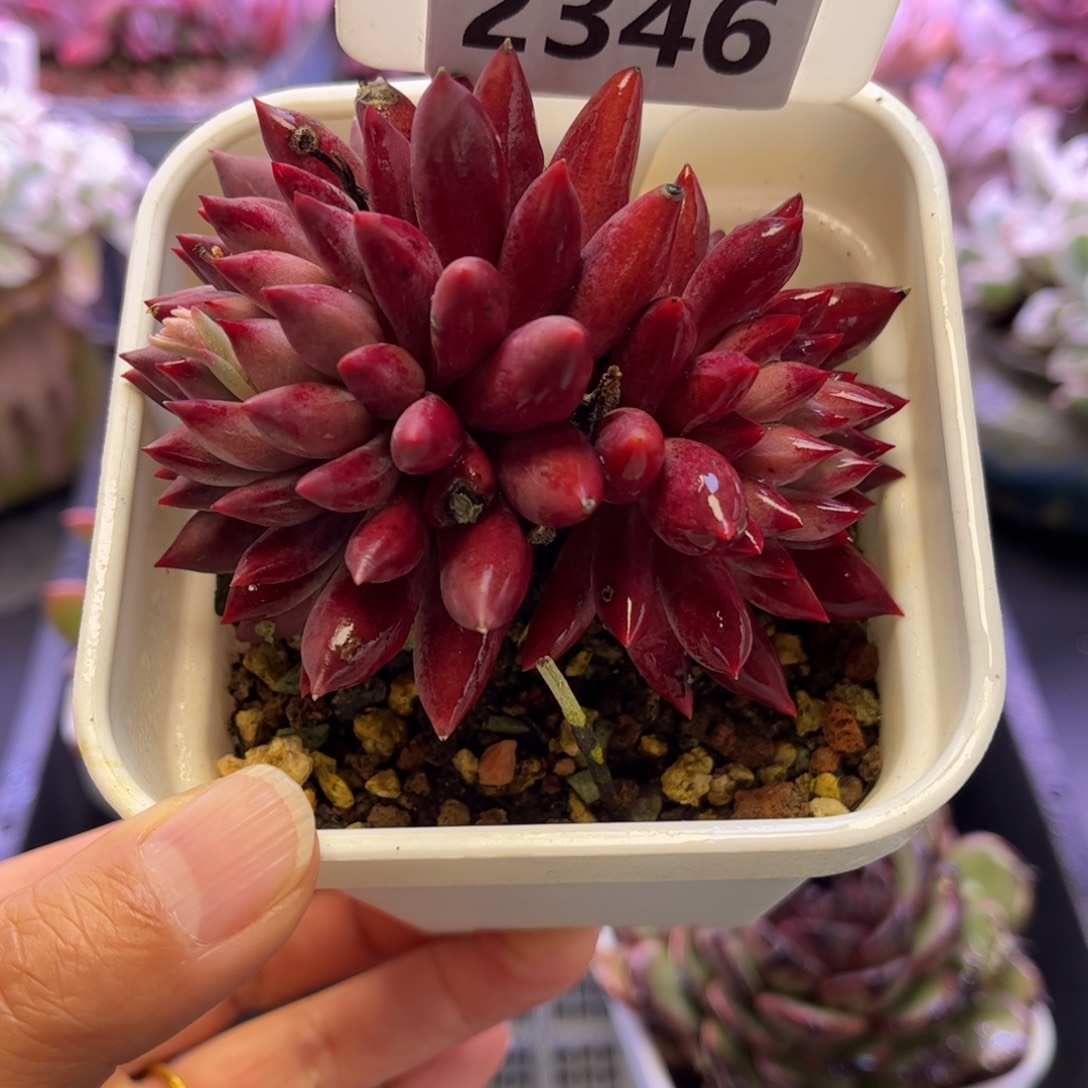 2346满30包邮天冷地区必拍保温箱