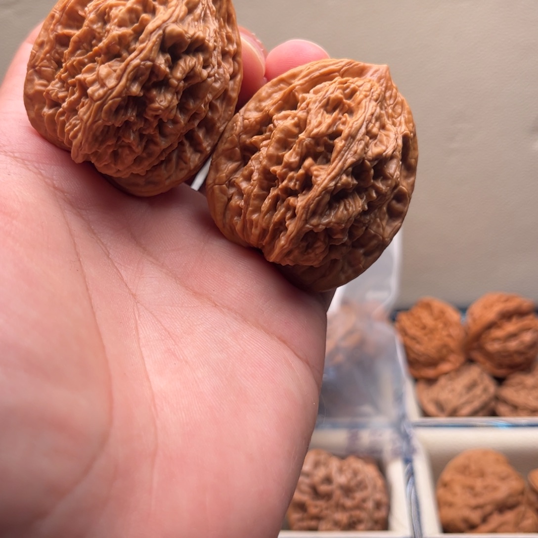 42全品麦穗虎头牛对