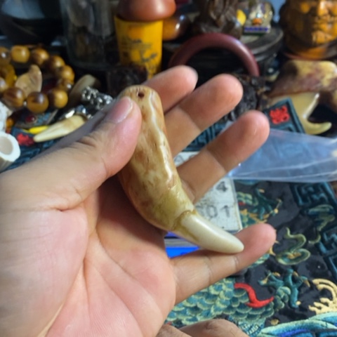 瓷片寻呼台的人也太少见啦