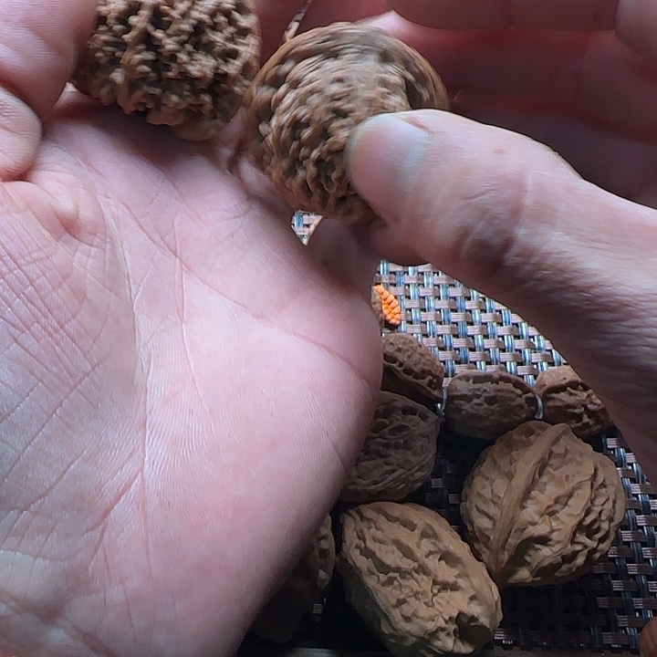 还***不吊坠文玩核桃1111121111