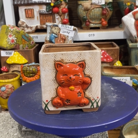 【闪购商品】        