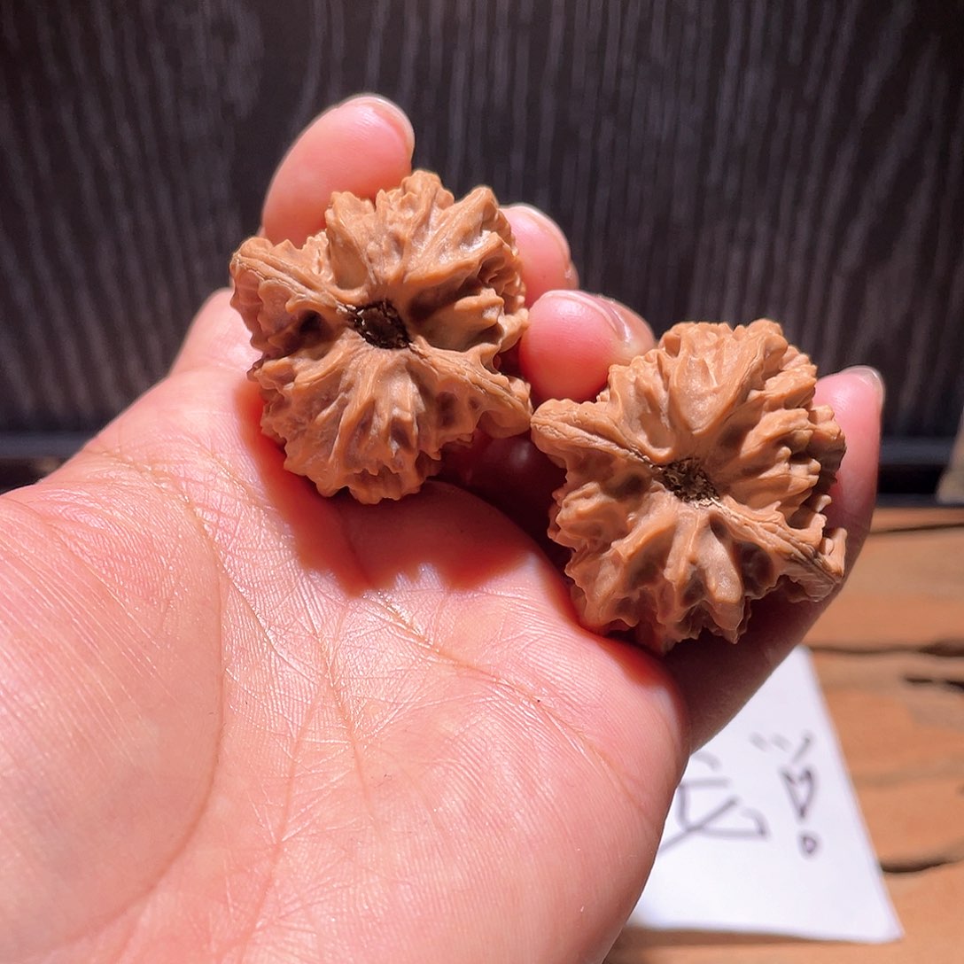 年*S065 37尺 大龙