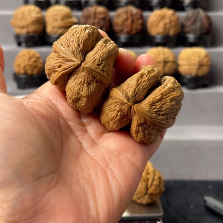 不***膀把件文玩核桃连体