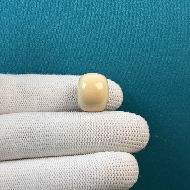 D50-06天然猛犸 芝士皮桶珠15.7*12.3mm一物一图 假一罚十