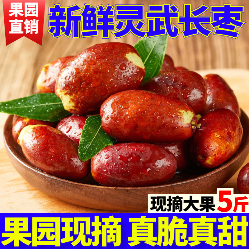宁夏灵武长枣产地精选当季新鲜嘎嘣脆皮薄肉厚果园现摘手工采摘
