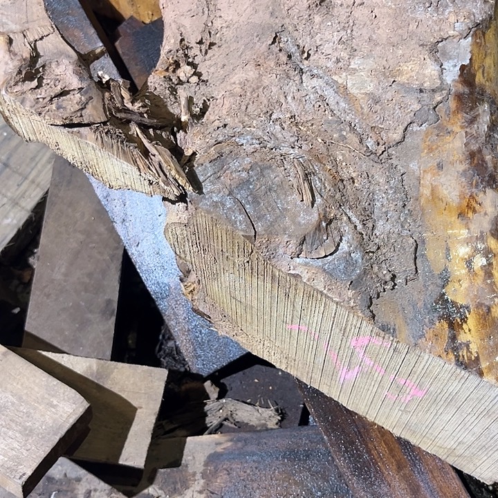 小叶桢楠原材料原材料