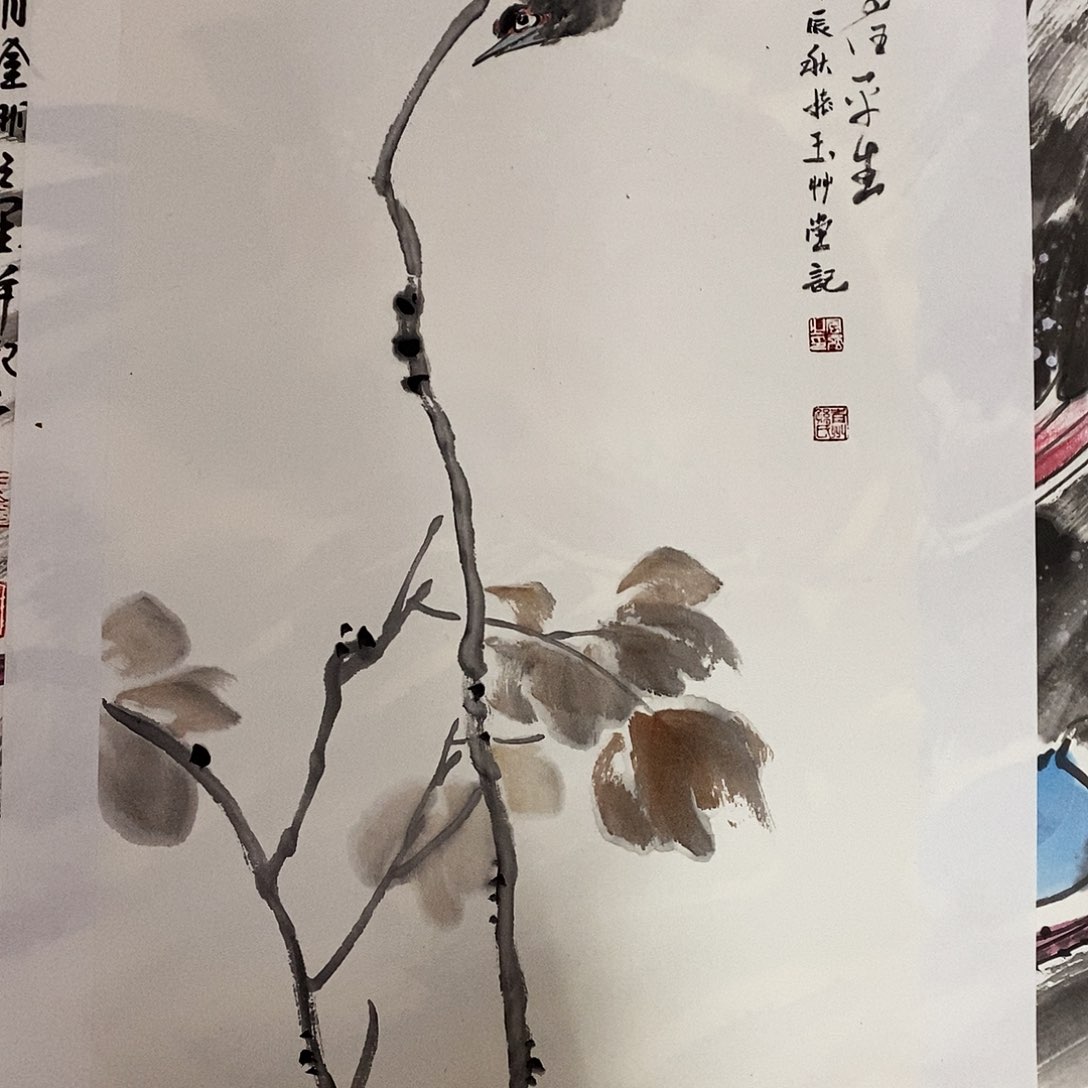 国画肉丸是你啊个东西哈