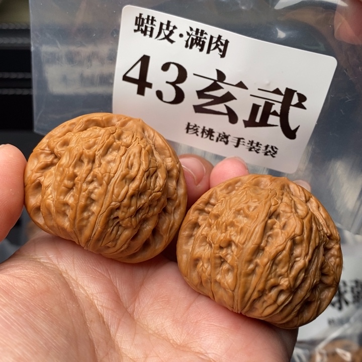 文玩核桃把件43玄武