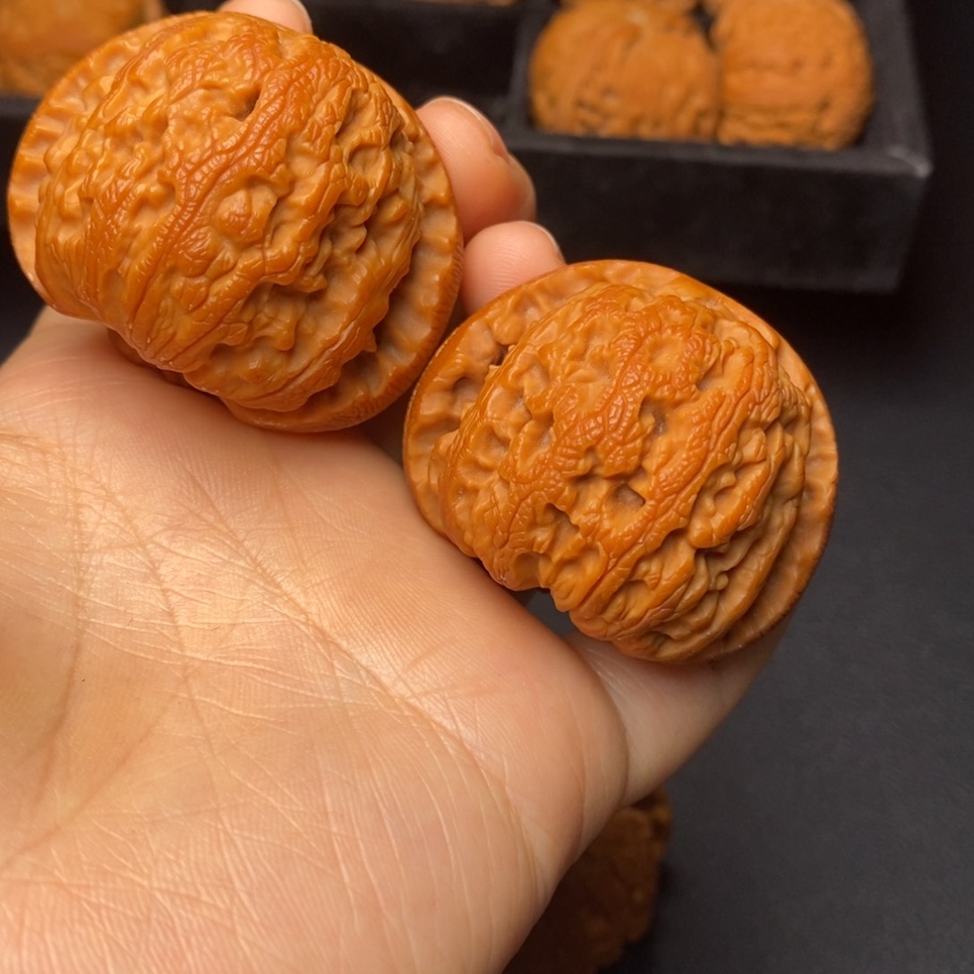 秦岭野生文玩核桃