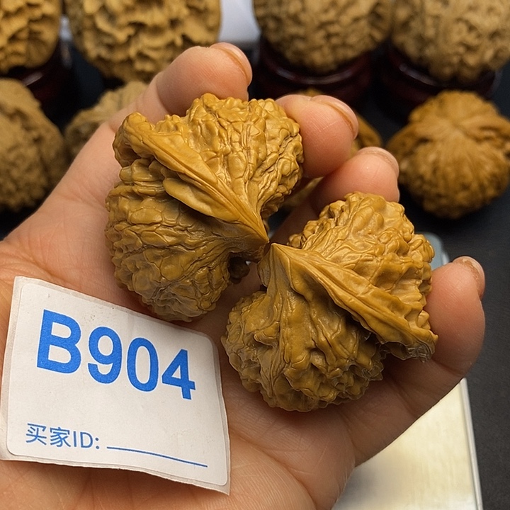 核桃官帽鹰嘴000000