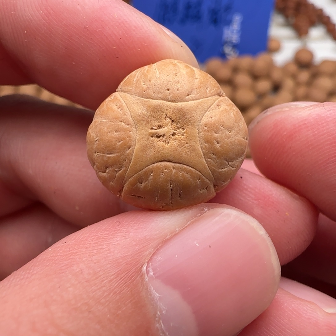 吊坠凤眼菩提18➕精品麒麟