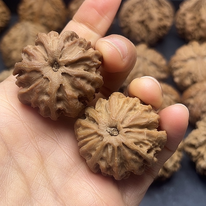 兴***迪核桃秦岭突突突突突突