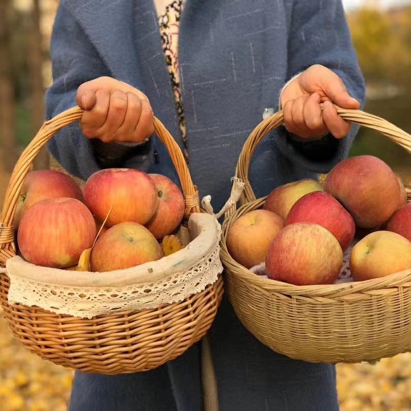 甘肃兰州原生态苹果