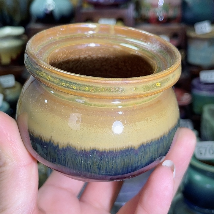 @****?狼盆内口径6高度6