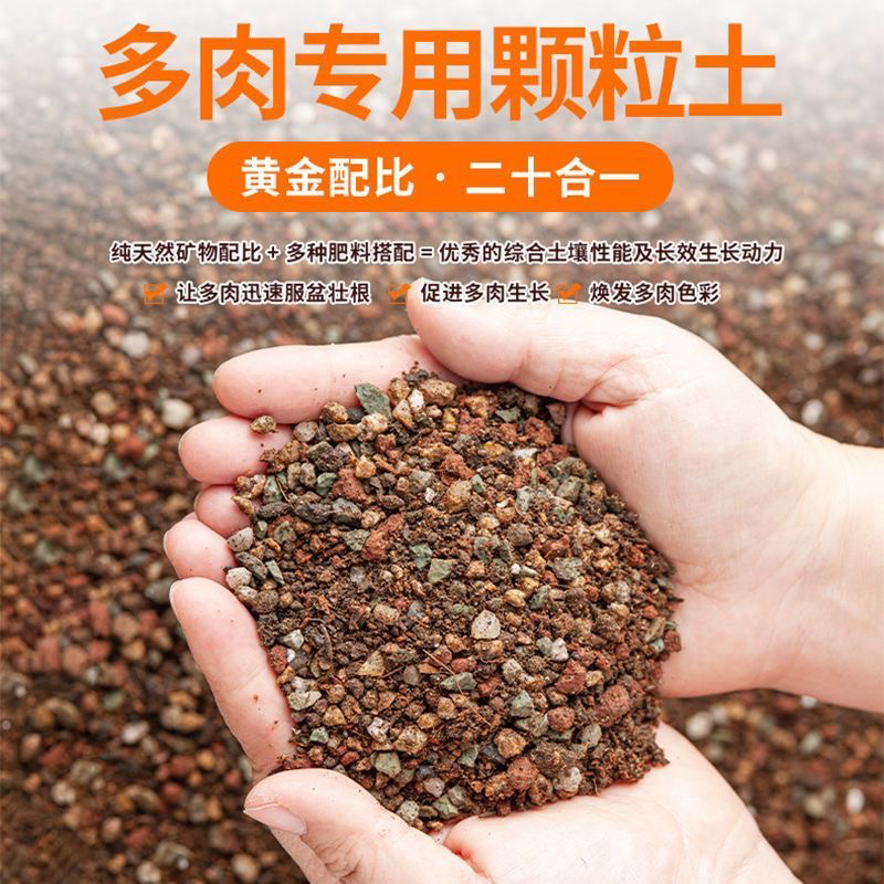 多肉专用土肉肉颗粒土透气通用型营养土家用换盆进口肉肉老桩专用